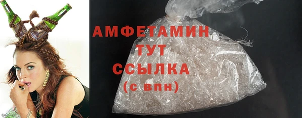 шишки Мегион