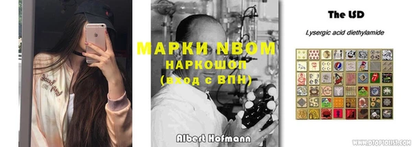 a pvp Магас