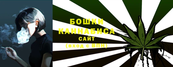 a pvp Магас