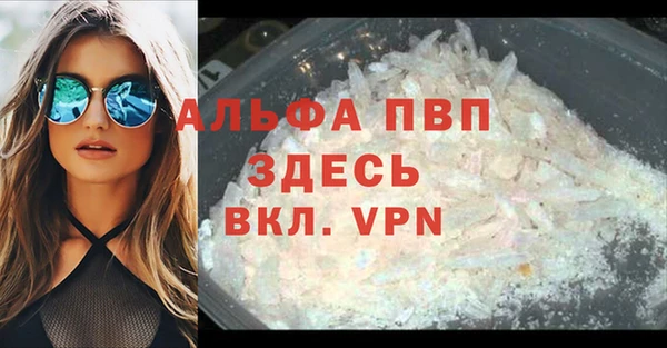 шишки Мегион