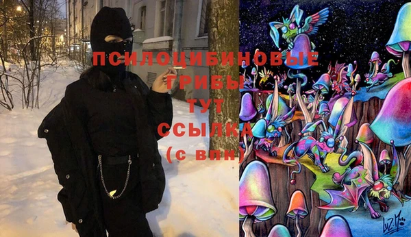 шишки Мегион