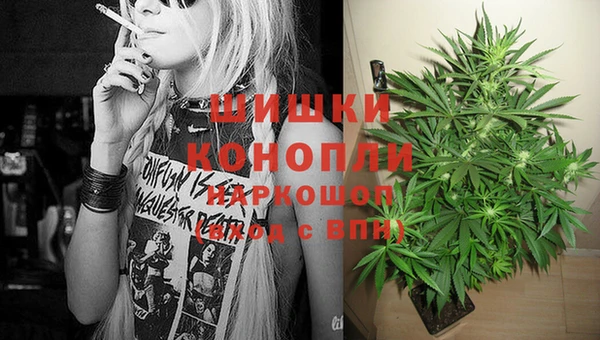 шишки Мегион