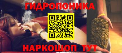 spice Заводоуковск