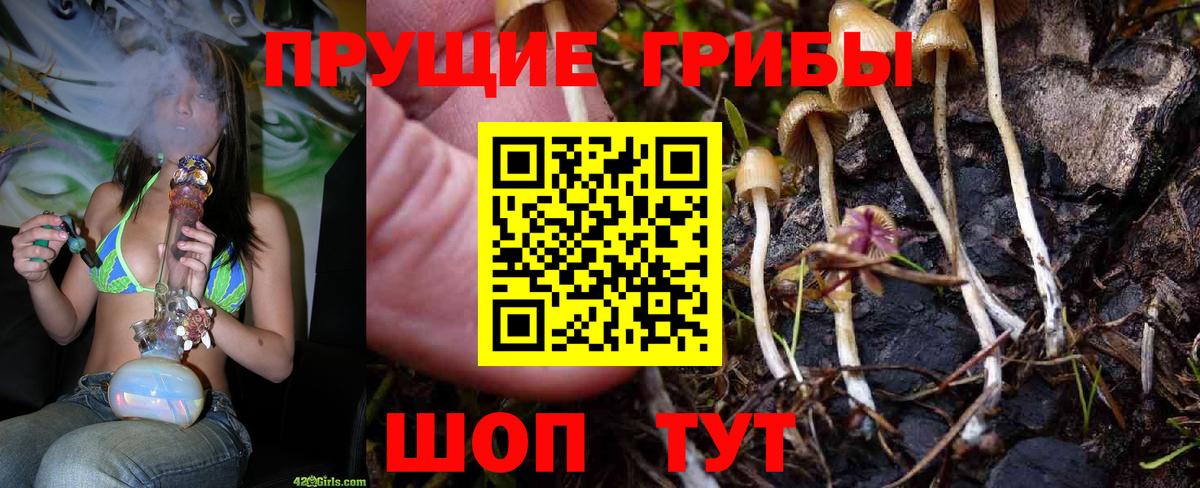 Михайловск  Галлюциногенные грибы прущие грибы  Галлюциногенные грибы Psilocybine cubensis  Вход с VPN 